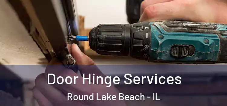 Door Hinge Services Round Lake Beach - IL