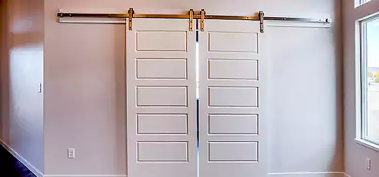 Glass Barn Door with Installation Hardware Kit Round Lake Beach