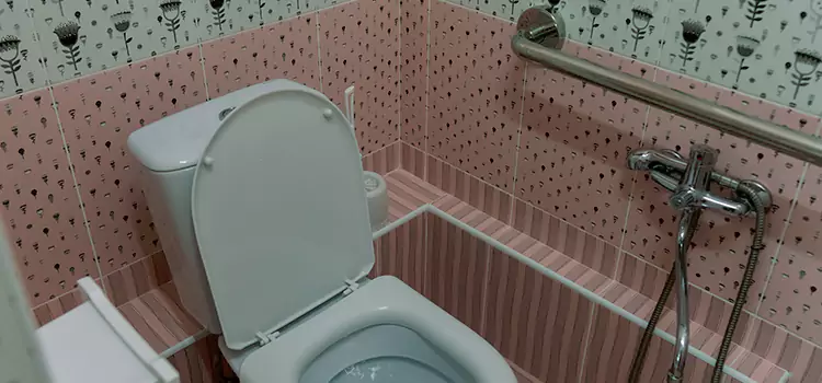 Meeting Diverse Needs With Accessible Restroom Solutions in Round Lake Beach, IL